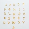 Admiral Row guldhalsband med elegant initial