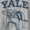Barn-sweatshirt med Yale University-motiv