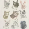 Barn-t-shirt med kattansiktsmotiv