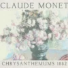 Barn-T-shirt med Monet-blommotiv