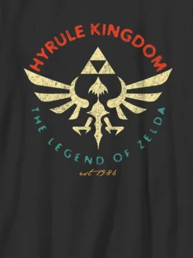 Barn-T-shirt med motiv från Nintendo Zelda: Hyrule Kingdom