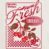 Grafisk T-shirt för barn med motivet ”Farm Fresh Cherries”