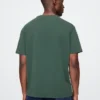 Grafisk T-shirt för vuxna med NFL Green Bay Packers-motiv