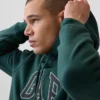 Hoodie för vuxna med Vintagesoft Arch Logo