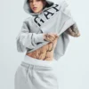 Hoodie för vuxna med Vintagesoft Arch Logo