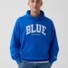Köp blå, tjock hoodie i fransk frotté med logotyp