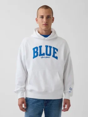 Köp blå, tjock hoodie i fransk frotté med logotyp