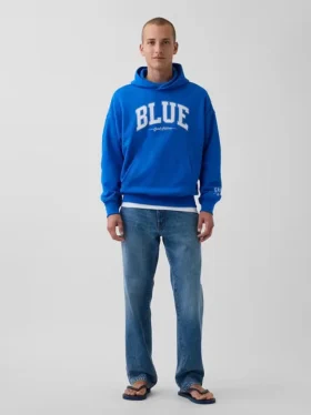 Köp blå, tjock hoodie i fransk frotté med logotyp