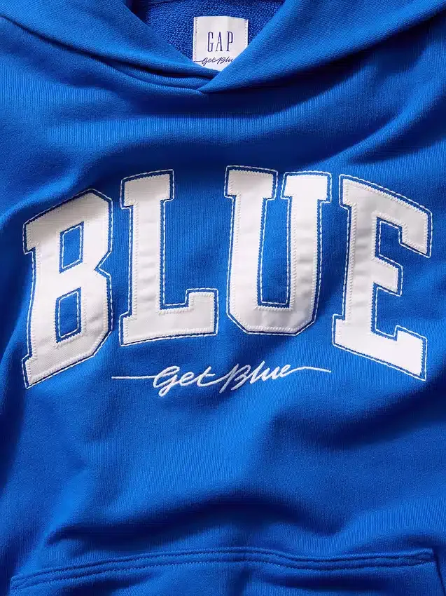 Köp blå, tjock hoodie i fransk frotté med logotyp