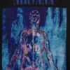 Nirvana T-shirt i tjockt tyg med kort passform och tryck