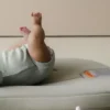 Snuggle Me Infant Lounger Curve