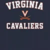 T-shirt med klassisk grafisk motiv från University of Virginia