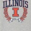University of Illinois Laurels mörk grafisk T-shirt