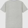 University of Illinois Laurels mörk grafisk T-shirt
