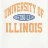 University of Illinois Vintage Fighting Illini-T-shirt med tryck